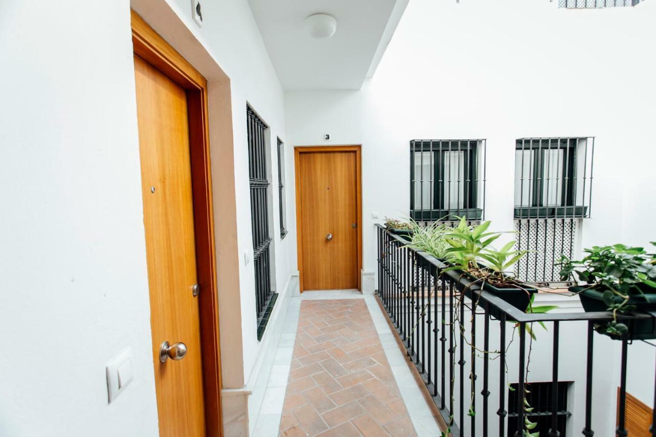 Bright Duplex W/ Terrace Διαμέρισμα Σεβίλλη Εξωτερικό φωτογραφία