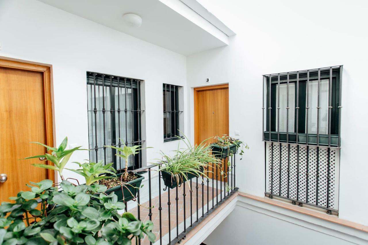 Bright Duplex W/ Terrace Διαμέρισμα Σεβίλλη Εξωτερικό φωτογραφία